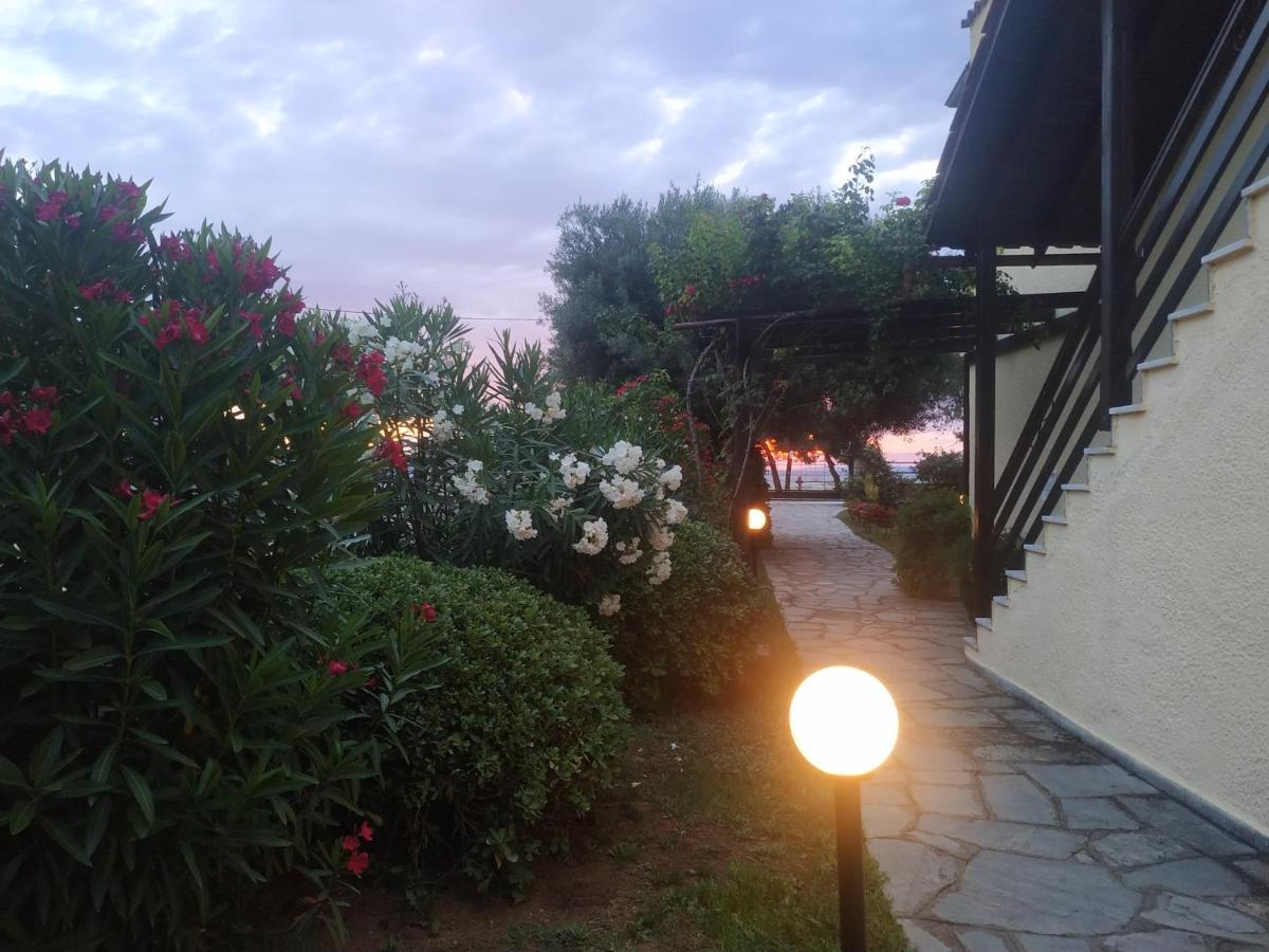 Studios Galanis 阿菲托斯 外观 照片